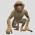Cute Monkey With Light Brown Fur And Dark Eyes In Crouching Position 3d model