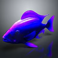 Shiny Purple And Blue Fish With Glossy Scales On Gray Background And Reflection
