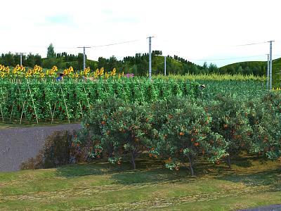 Outdoor Swing Door With Sunflowers Fruit Trees And Green Fields View 3d model