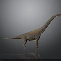 Rusty Brown Long Neck Dinosaur Model Standing With Raised Head On Gray Background