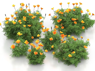 Blooming Yellow Flowers With Lush Green Leaves In Fresh Garden 3d model