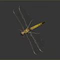 Vibrant Dragonfly With Yellow Brown Body Transparent Wings Red Eyes On Dark Background With Reflection