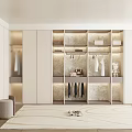 Modern Walk In Closet Interior Featuring Lighting Storage And Carpet 3d model