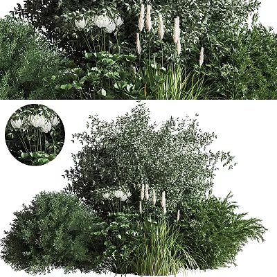 Diverse Green Shrubs With White Blooms And Lush Foliage In Garden Landscape 3d model