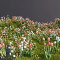 Beautiful Park Landscape With Colorful Flowers Green Grass And Blue Sky Clouds
