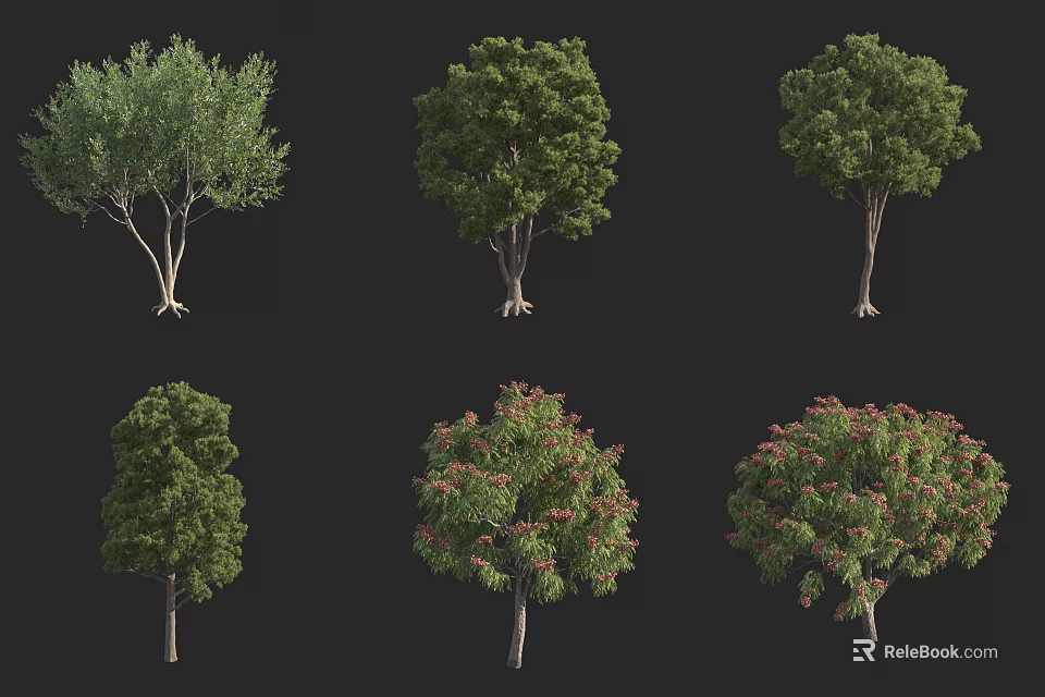 Six Different Arbor Trees Displaying Diverse Foliage Shapes And Green Leaves 3d model 