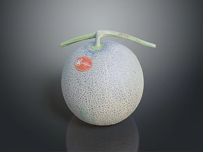 Fresh Ripe Cantaloupe with Green Stem Red Label and Netted Skin on Dark Surface 3d model