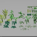 Various Green Plants With Different Leaf Types And Varied Sizes On Black Background 3d model