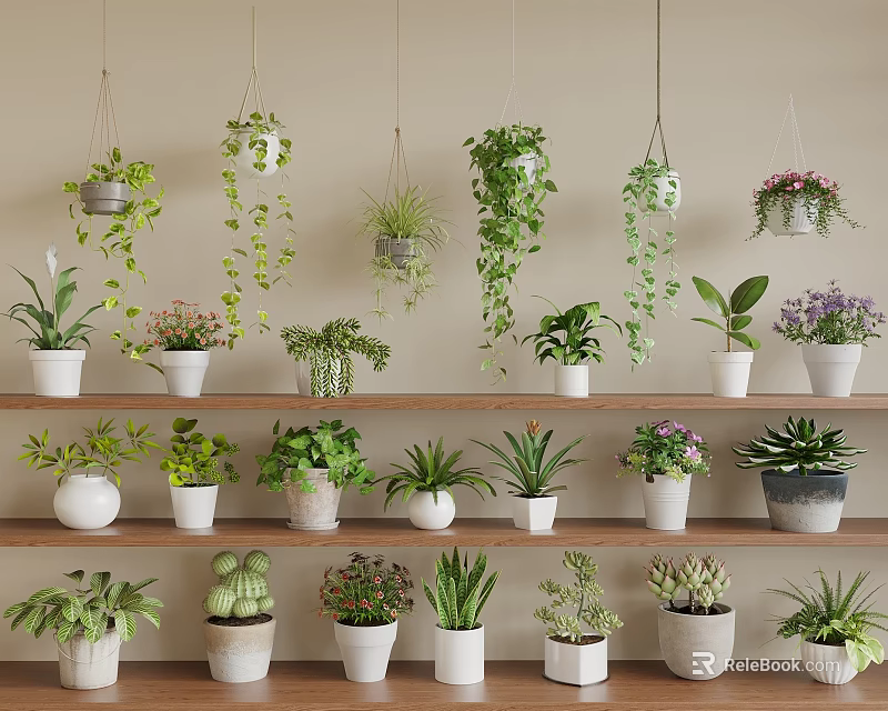 Bonsai Potted Plants Collection With Hanging And Shelf Displayed Green Foliage 3d model 