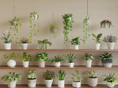 Bonsai Potted Plants Collection With Hanging And Shelf Displayed Green Foliage 3d model