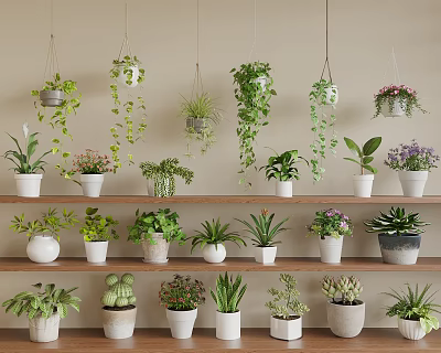 Bonsai Potted Plants Collection With Hanging And Shelf Displayed Green Foliage 3d model