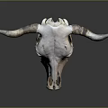 Natural Cow Skull Animal Wall Decor With Horns For Home Decoration
