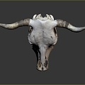 Beast Head Antelope Skull Sheep Skull Decorations Animal Bone PBR PBR Item Cow Skull 3d model