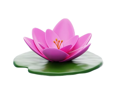 Vibrant Pink Lotus Flower On Green Lily Pad Water Plant Decoration 3d model