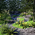 Scenic Park Landscape With Flowing Stream Green Grass Ferns And Yellow Flowers