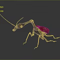 3D Mantis Model With Red Body Blue Head Long Legs And Antennae On Dark Background