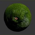 Fresh Green Ripe Avocado With Smooth Skin On Shiny Surface Against Gray Background