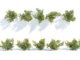 Modern shrubs, shrubs, flowers and plants 3d model