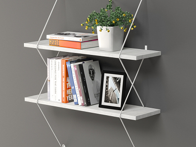 Wall Shelf model