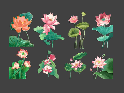 Vibrant Lotus Botanical Illustrations With Green Leaves And Pink Orange Blooms 3d model
