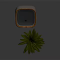 Modern Oxygen Concentrator With Green Potted Plant In Indoor Environment