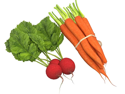 Fresh Healthy Vegetables Showcasing Bundled Carrots And Radishes With Fresh Green Leaves 3d model