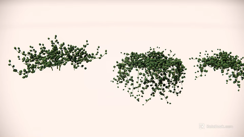 Green Succulent Plants in Clusters with Hanging Growth on Light Background 3d model 