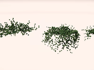 Green Succulent Plants in Clusters with Hanging Growth on Light Background 3d model