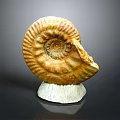 Ancient Ammonite Fossil With Yellowish Brown Spiral Structure On White Base 3d model