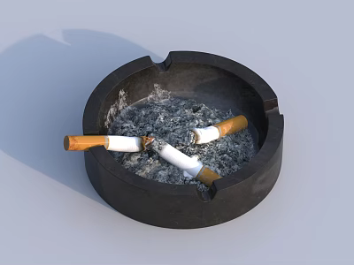 Decorative Ornament Set Including Black Ashtray With Cigarette Butts And Ash 3d model