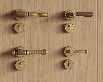 Brass Door Handles With Keyholes On Wooden Panel For Home Decor 3d model