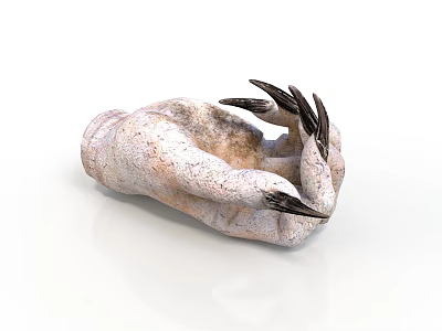 Close Up View Of Animal Paw Organ With Sharp Black Claws And Rough Skin Texture 3d model