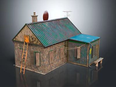 Wooden House With Green Metal Roof Blue Extended Roof Ladder Chimney Satellite Dish Boarded Windows 3d model
