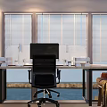 Computer Monitor Setup in Office Workspace with Black Chair Blind Windows and Seaview