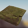 Lush Green Moss Growing On Cracked Stone Slab In Garden Ground
