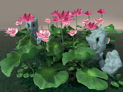 Aquatic Plants Featuring Pink Lotus Flowers Green Leaves and Rocks in Water 3d model