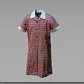 Red Plaid Short Sleeve Dress With White Collar And Light Cuffed Sleeves