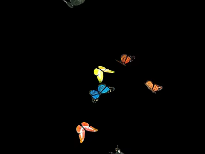 Colorful Butterflies Flying Against Black Background With Various Wing Patterns 3d model