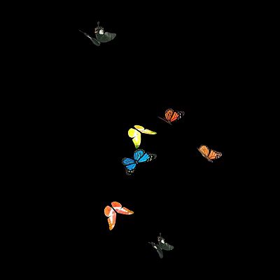 Colorful Butterflies Flying Against Black Background With Various Wing Patterns 3d model