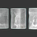 Anatomical Nose Line Drawings Showing Structural Details From Different Angles