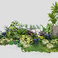 Lush Diverse Plant Combination With Green Foliage Colorful Blooms And Decorative Stones