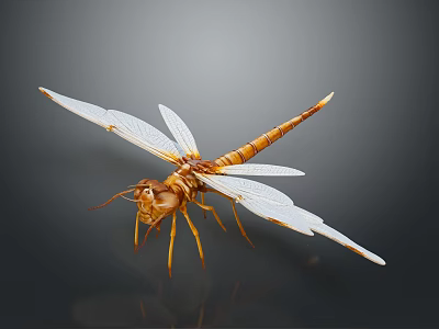 Detailed Brown Dragonfly With Transparent Spread Wings On Dark Background 3d model