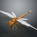 Detailed Brown Dragonfly With Transparent Spread Wings On Dark Background