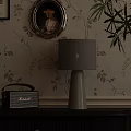 Elegant Table Lamp With Vintage Radio On Table By Floral Wallpaper And Plant