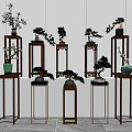 Modern Wooden and Metal Plant Stands with Bonsai and Potted Orchid Plants