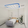 Modern Hospital Room Interior With White Walls Ceiling Light Blue Trim And Green Plant