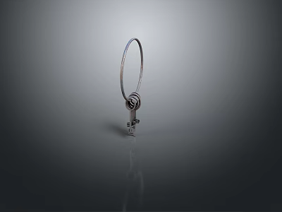 Metal Keychain With Key And Circular Ring In Modern Design 3d model