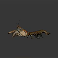 Detailed Realistic Lobster With Long Antennae And Claws On Dark Background