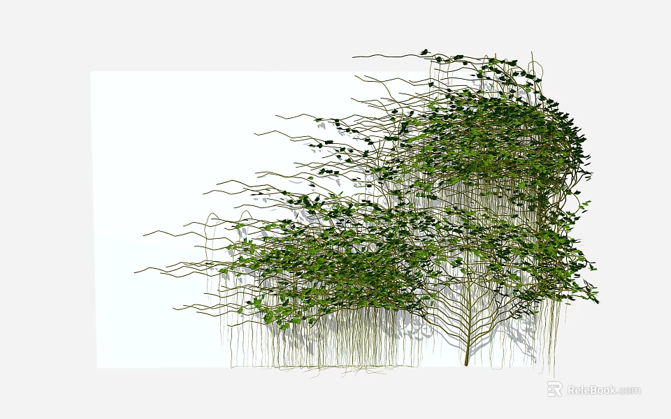Climbing Green Vine With Twisting Stems And Lush Foliage For Outdoor Garden 3d model 