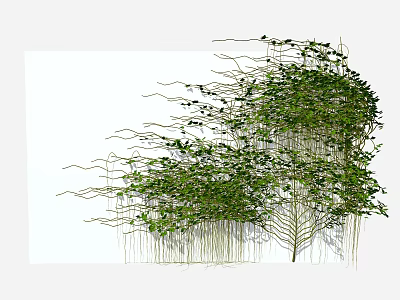 Climbing Green Vine With Twisting Stems And Lush Foliage For Outdoor Garden 3d model